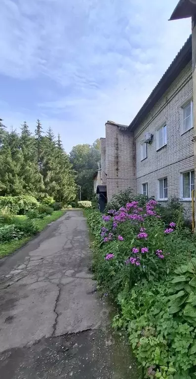 2-к кв. Новгородская область, Новгородский район, Борковское с/пос, д. ... - Фото 2