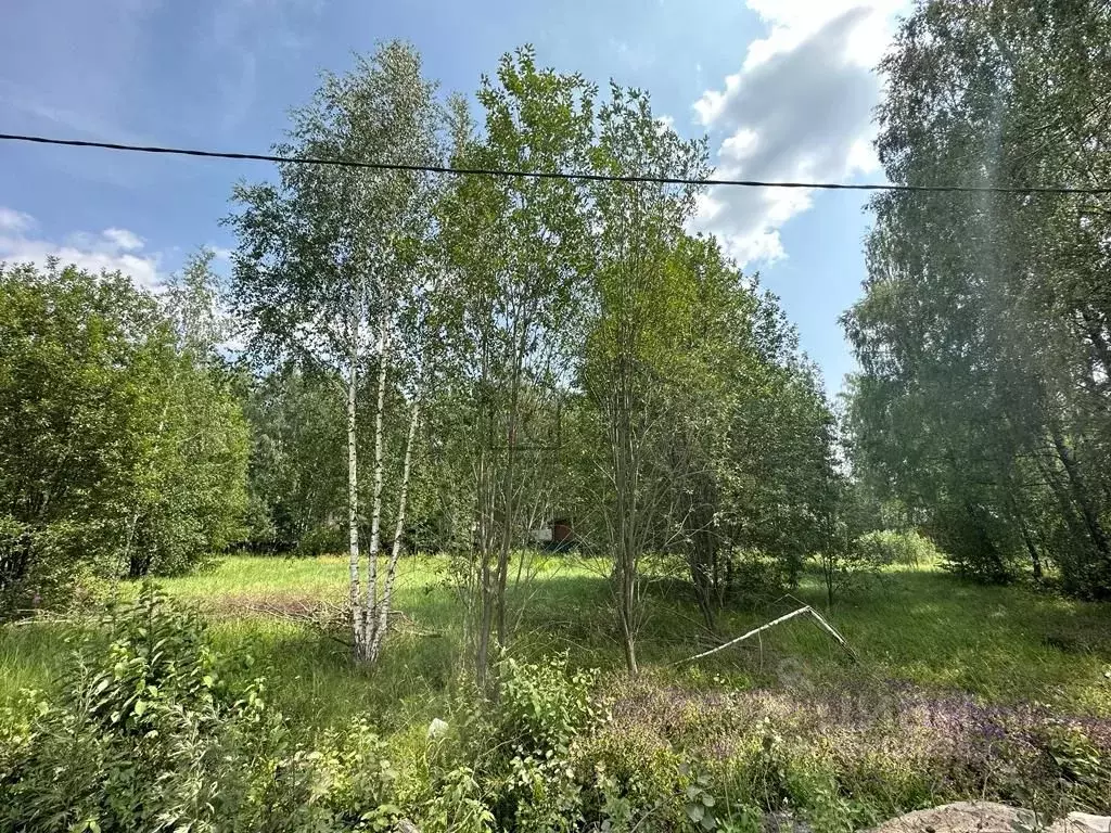 Участок в Московская область, Мытищи ул. Нахимова (20.0 сот.) - Фото 1