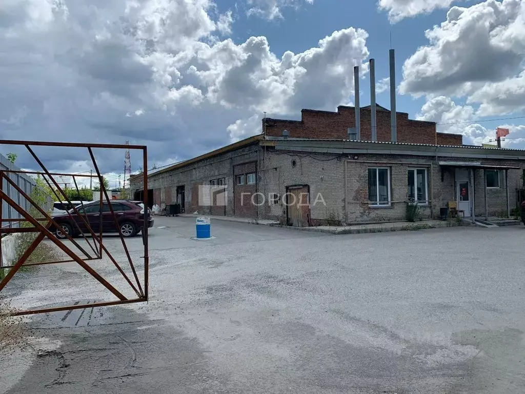 Помещение свободного назначения в Новосибирская область, Новосибирск ... - Фото 1