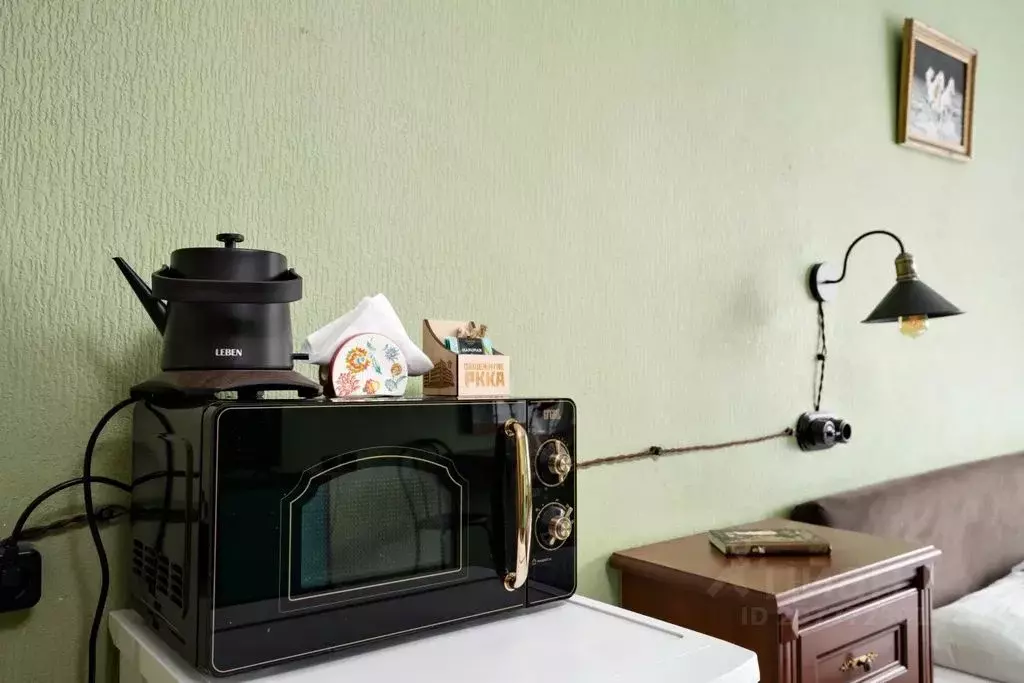 Комната Новосибирская область, Новосибирск Красный просп., 59 - Фото 2