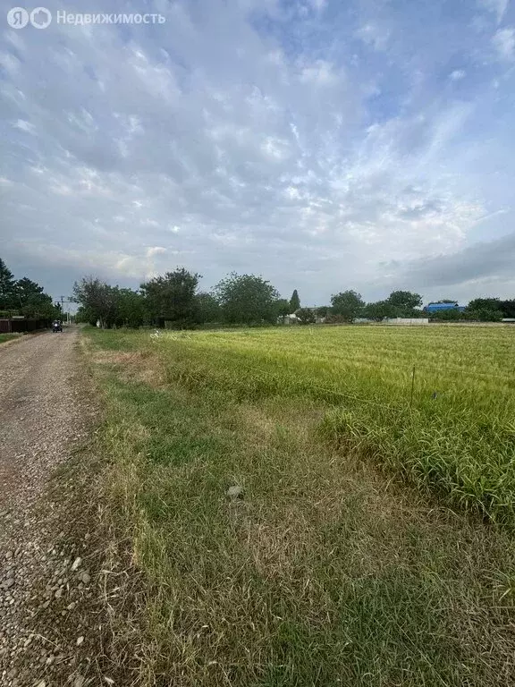 Участок в село Кухаривка, улица Победы (8 м) - Фото 0