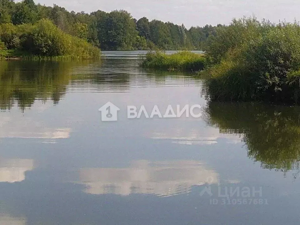 Участок в Владимирская область, Владимир Связист сад, ул. Цветочная ... - Фото 0