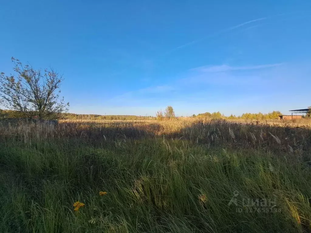 Участок в Московская область, Кашира городской округ, д. Никулино  ... - Фото 0