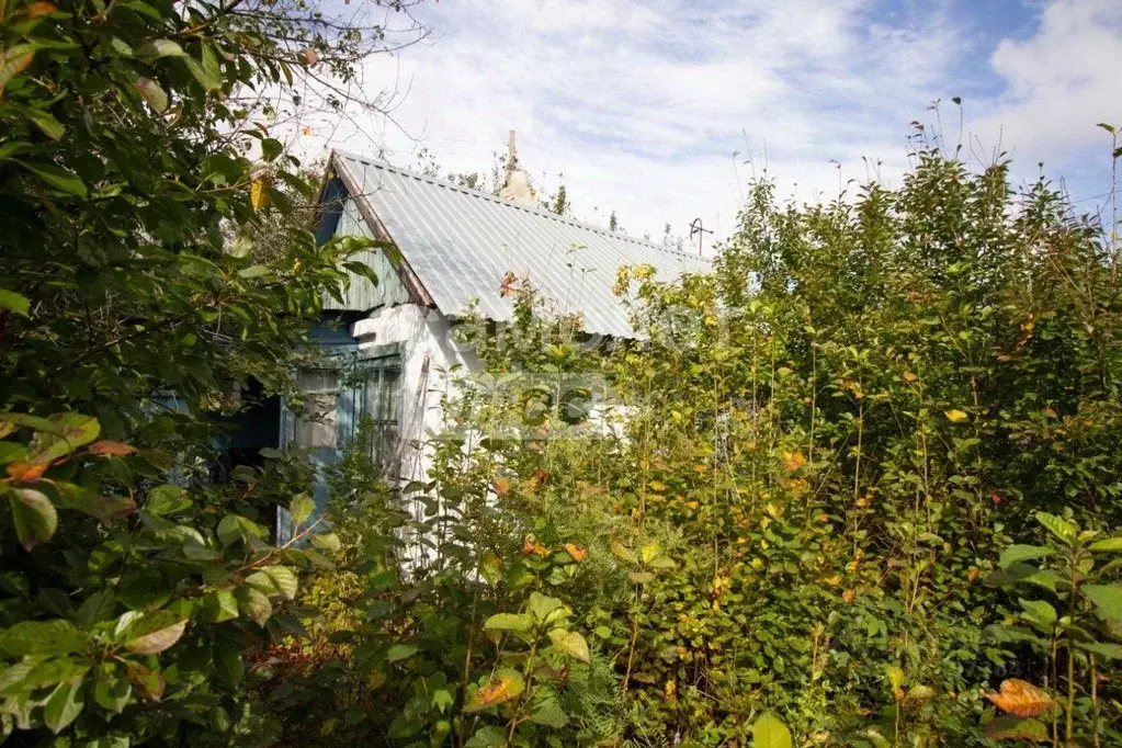 Дом в Челябинская область, Челябинск Станкостроитель-1 СНТ,  (25 м) - Фото 0