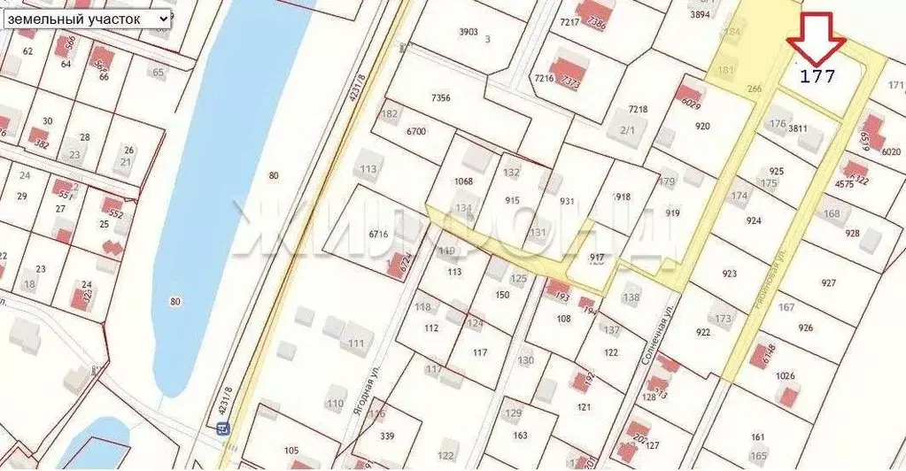 Участок в Новосибирская область, Новосибирский район, Кубовинский ... - Фото 1