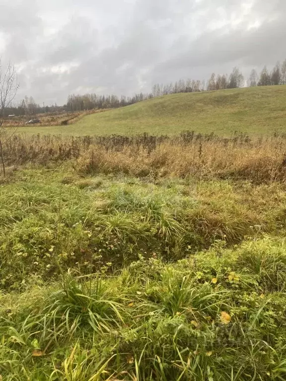 Участок в Ленинградская область, Тосненский район, Шапкинское с/пос, ... - Фото 2