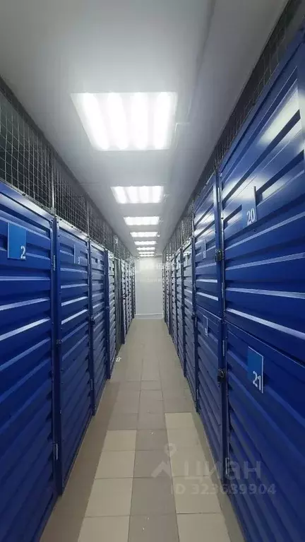 Помещение свободного назначения в Мурманская область, Мурманск ул. ... - Фото 2