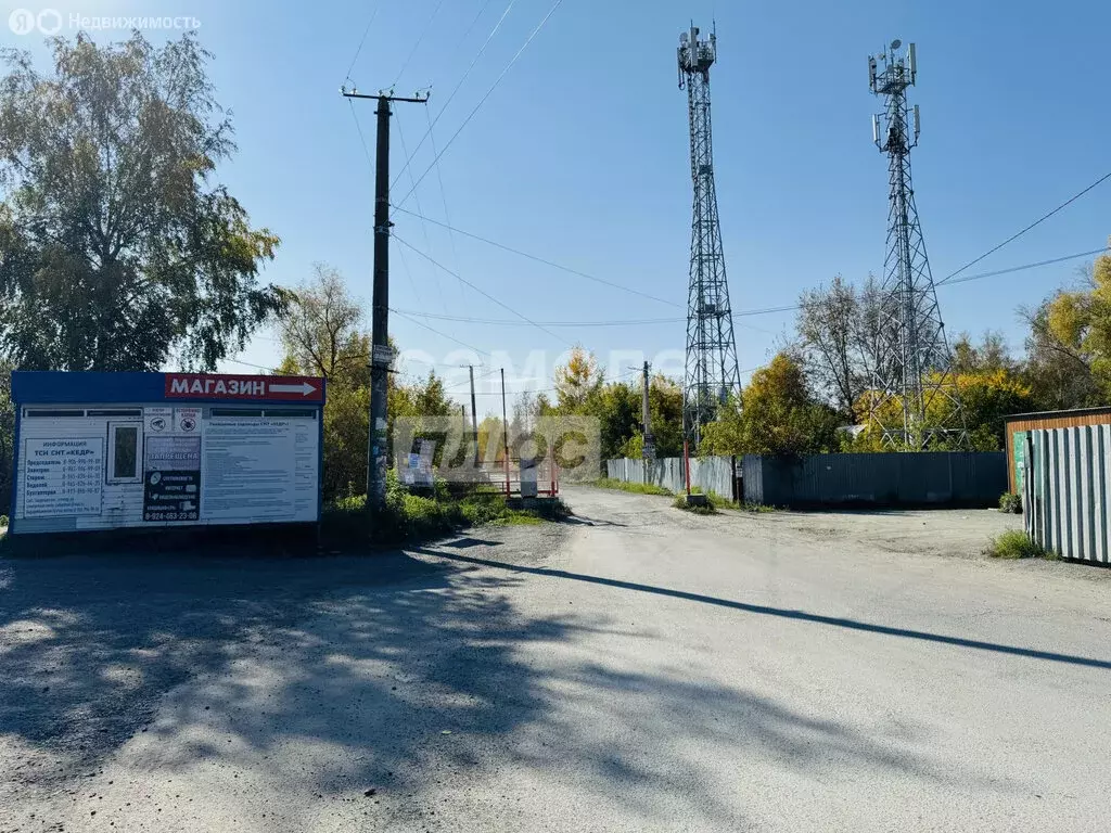 Участок в Новосибирск, СНТ Кедр, 11 (11.96 м) - Фото 1