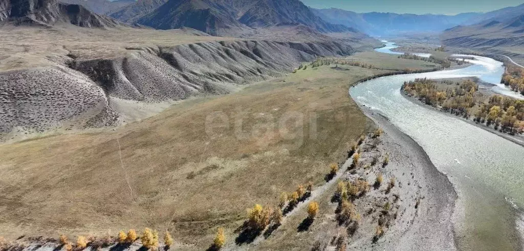 Участок в Алтай, Онгудайский район, с. Иня  (120.0 сот.) - Фото 1