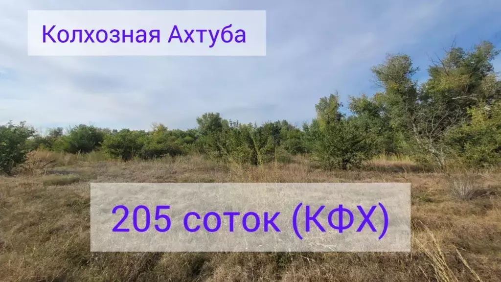 Участок в Волгоградская область, Средняя Ахтуба рп  (205.0 сот.) - Фото 1