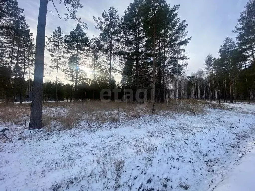Участок в Свердловская область, Сысертский муниципальный округ, пос. ... - Фото 1