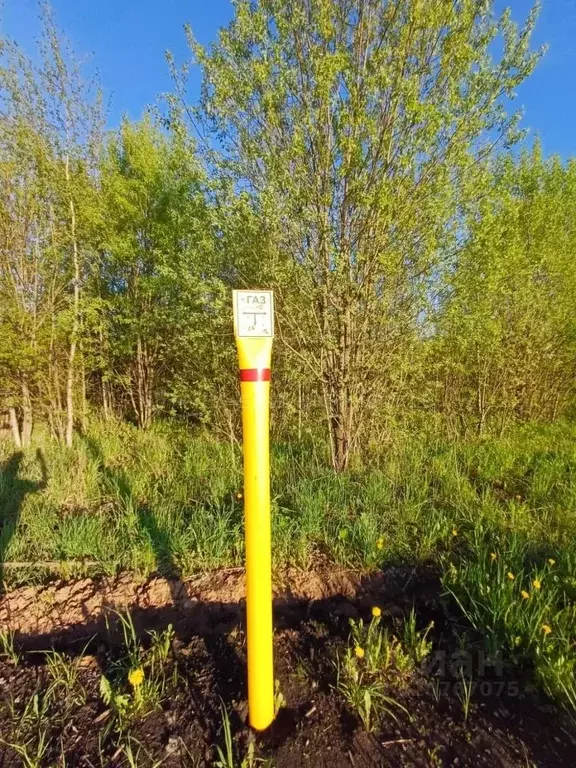 Участок в Кировская область, Киров городской округ, д. Загоски ул. 4-я ... - Фото 0