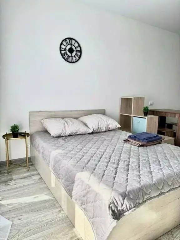 1-к кв. Алтайский край, Барнаул Трудовой пер., 28А (30.0 м) - Фото 2
