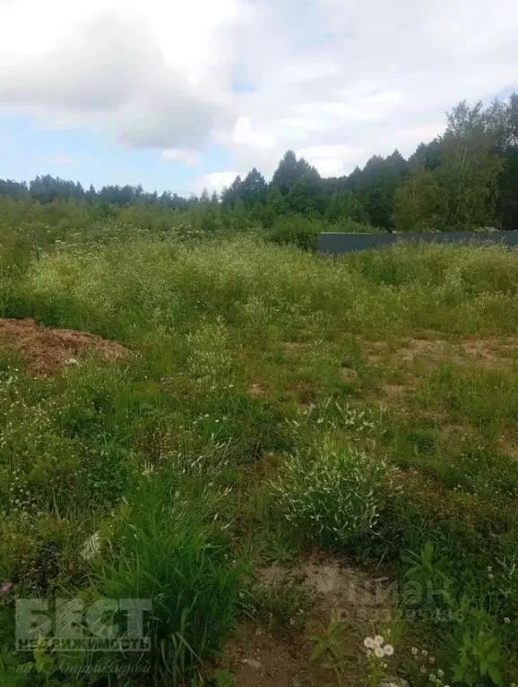 Участок в Московская область, Щелково городской округ, Трубинская тер. ... - Фото 1