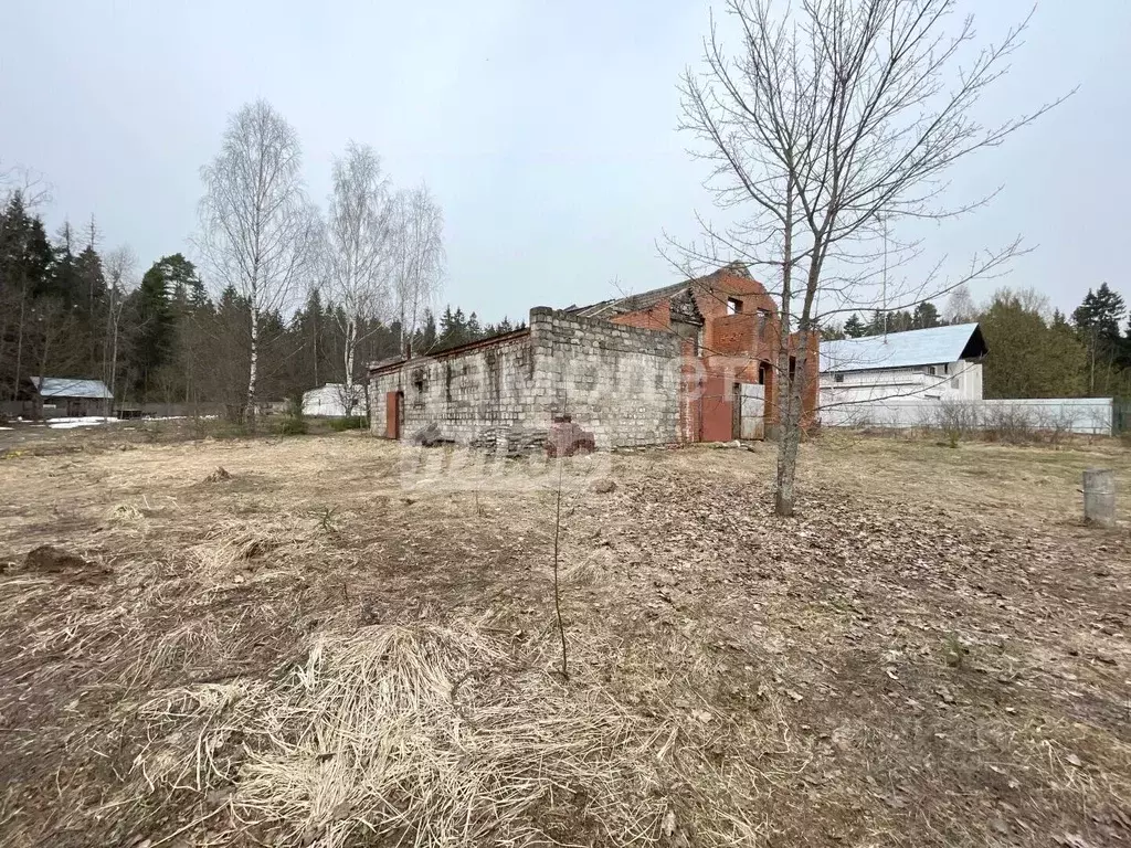 Участок в Московская область, Пушкинский городской округ, д. Зимогорье ... - Фото 2