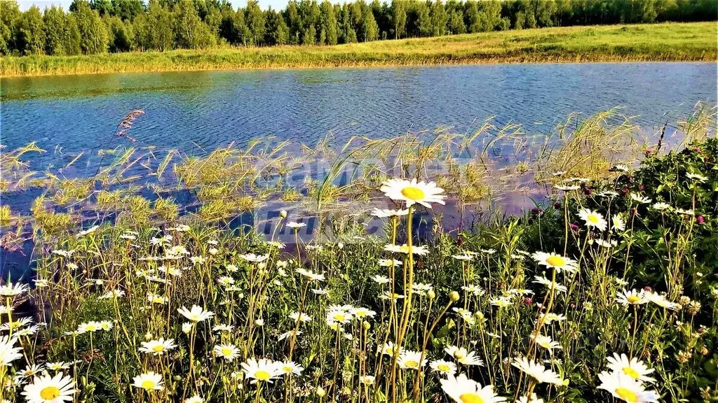 Участок в Тульская область, Ясногорский район, Теляковское ... - Фото 1