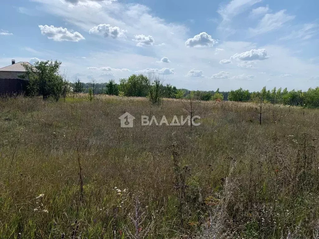 Участок в Белгородская область, Яковлевский муниципальный округ, с. ... - Фото 2