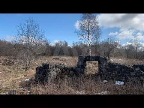 Участок 11 сот. (СНТ, ДНП) - Фото 1