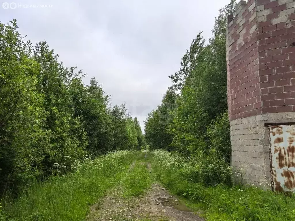 Участок в Вологодская область, Череповецкий муниципальный округ, ... - Фото 0