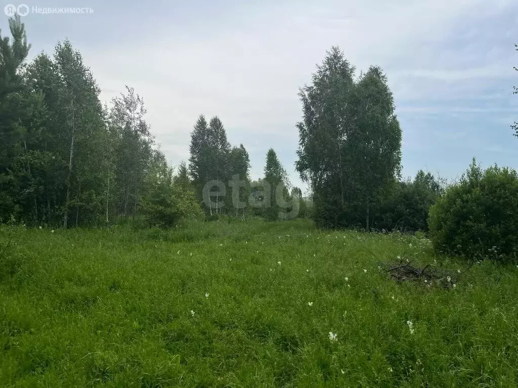 Участок в Майминский район, село Кызыл-Озек (10 м) - Фото 1