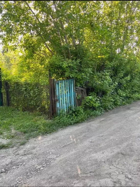 Участок в Новосибирская область, Новосибирск Толмачевская ул., 41А ... - Фото 1
