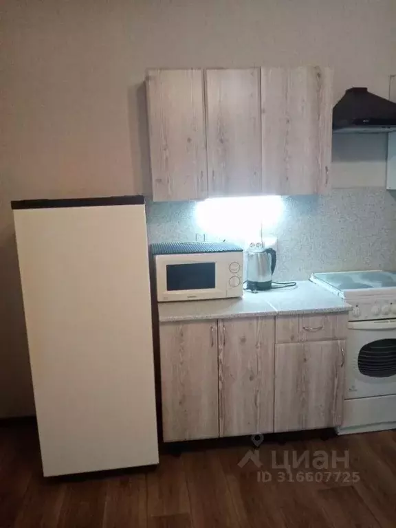 Студия Алтайский край, Барнаул тракт Змеиногорский, 82 (26.0 м) - Фото 1