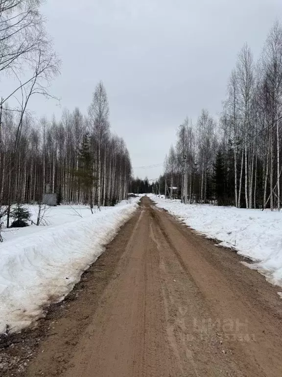 Участок в Удмуртия, Завьяловский район, д. Крестовоздвиженское, Берри ... - Фото 1