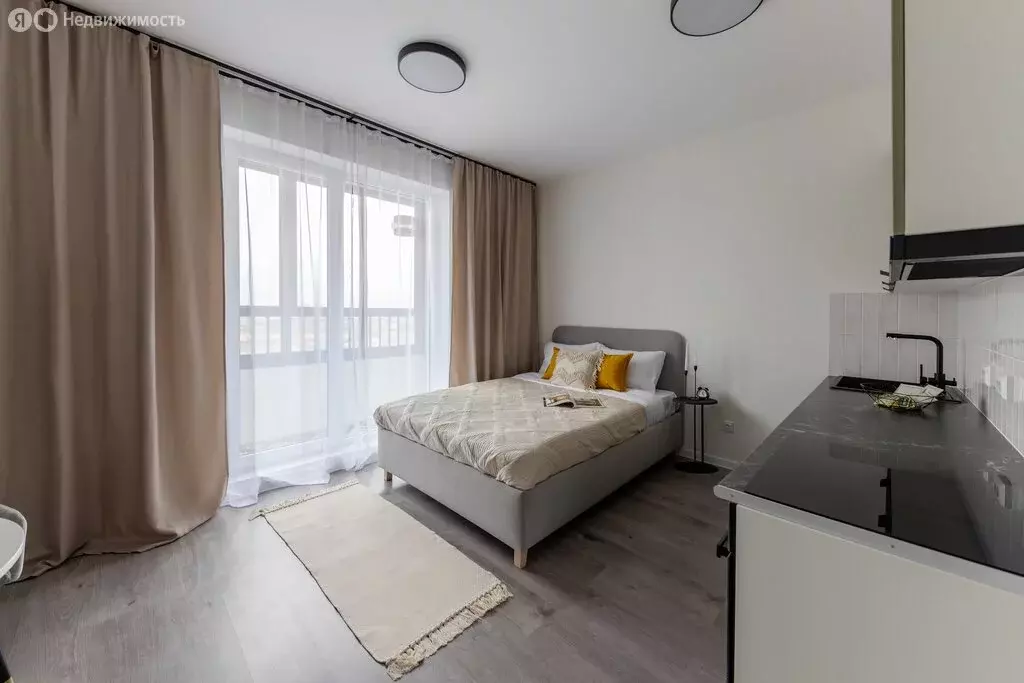 Квартира-студия: деревня Новосаратовка, улица Первых, 4к1 (23.5 м) - Фото 2