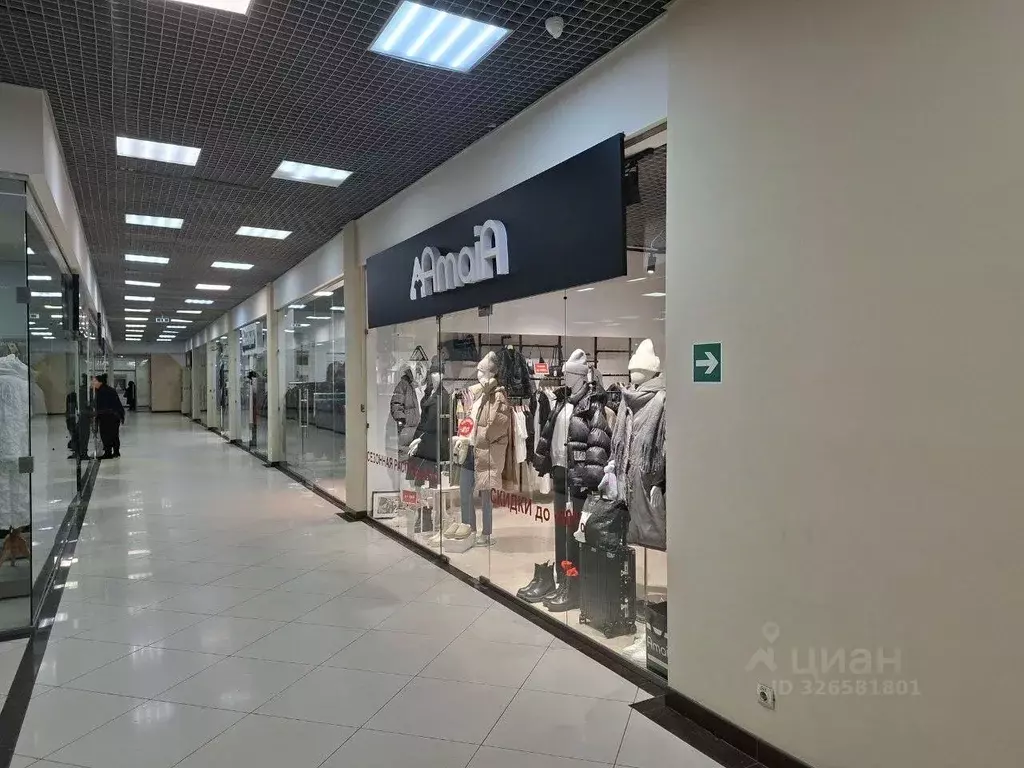 Торговая площадь в Владимирская область, Владимир Большая Московская ... - Фото 2