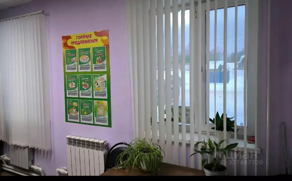 Помещение свободного назначения в Вологодская область, Бабаево ... - Фото 2