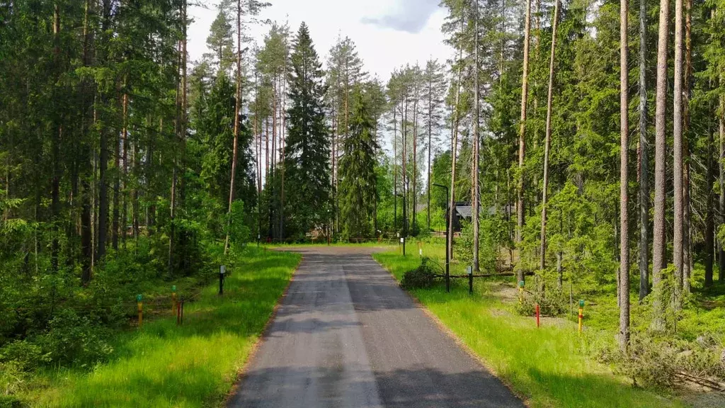 Участок в Ленинградская область, Выборгский район, Рощино пгт, КП ... - Фото 0