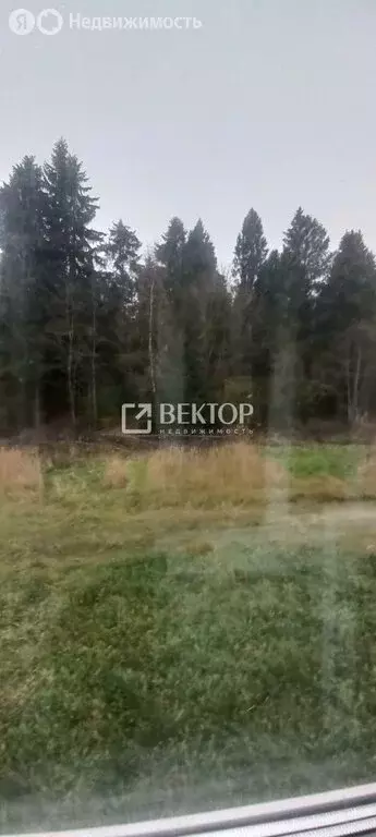 1-комнатная квартира: Никольское, Школьная улица, 7 (35 м) - Фото 1