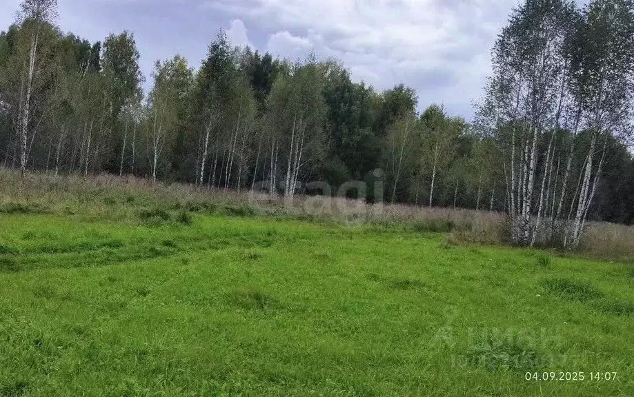 Участок в Новосибирская область, Новосибирский район, Каменский ... - Фото 1