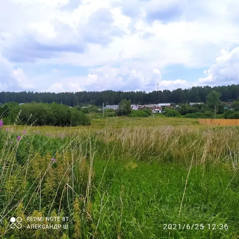 Участок в Свердловская область, Дегтярск ул. Российская (15.0 сот.) - Фото 0