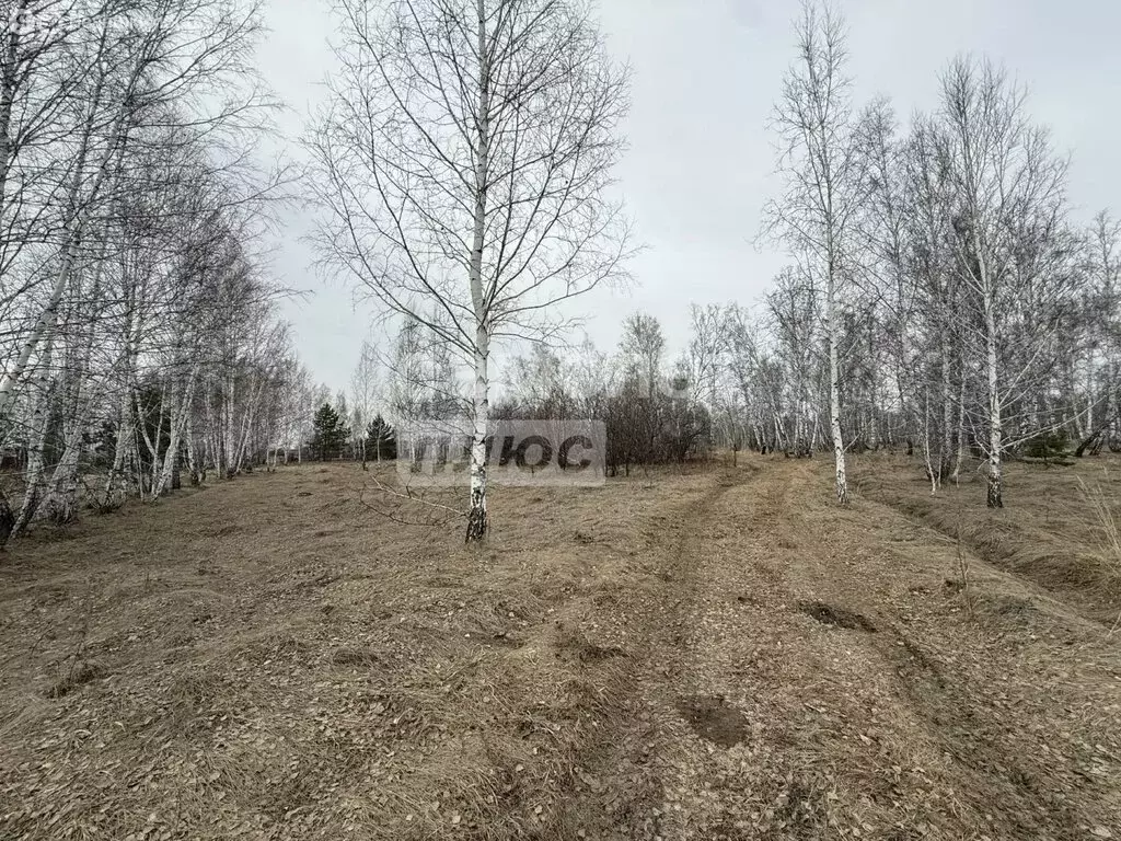 Участок в муниципальный округ Омский район, село Чернолучье (6 м) - Фото 2