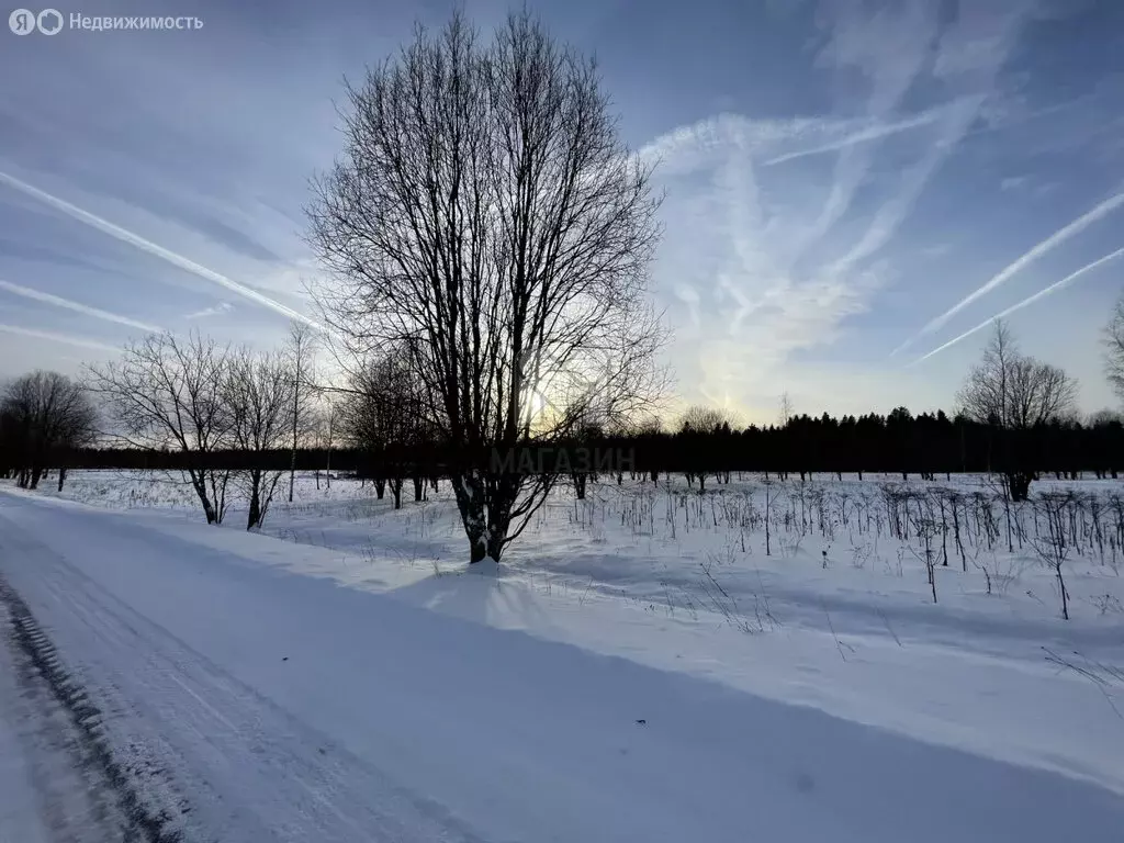 Участок в Клопицкое сельское поселение, деревня Соколовка (349.36 м) - Фото 1