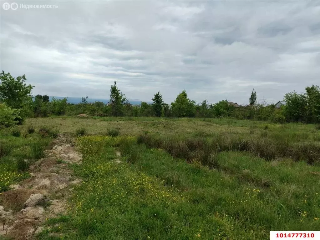 Участок в Апшеронск, Кленовая улица, 60 (6.24 м) - Фото 0