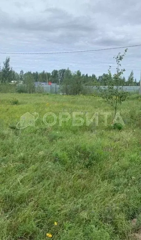 Участок в Тюменская область, Тюменский муниципальный округ, Горячий ... - Фото 1