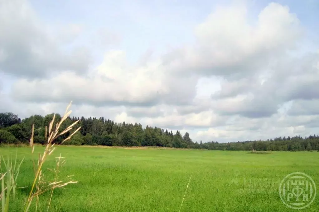 Участок в Ленинградская область, Выборгский район, Красносельское ... - Фото 2