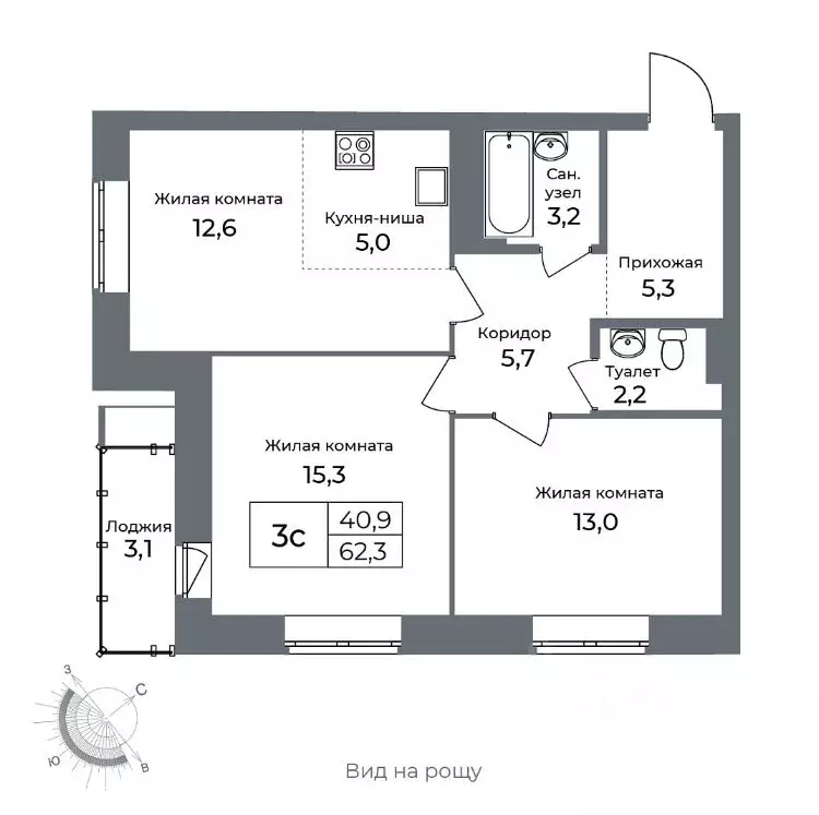 3-к кв. Новосибирская область, Новосибирск Тульская ул., 76 (61.9 м) - Фото 1