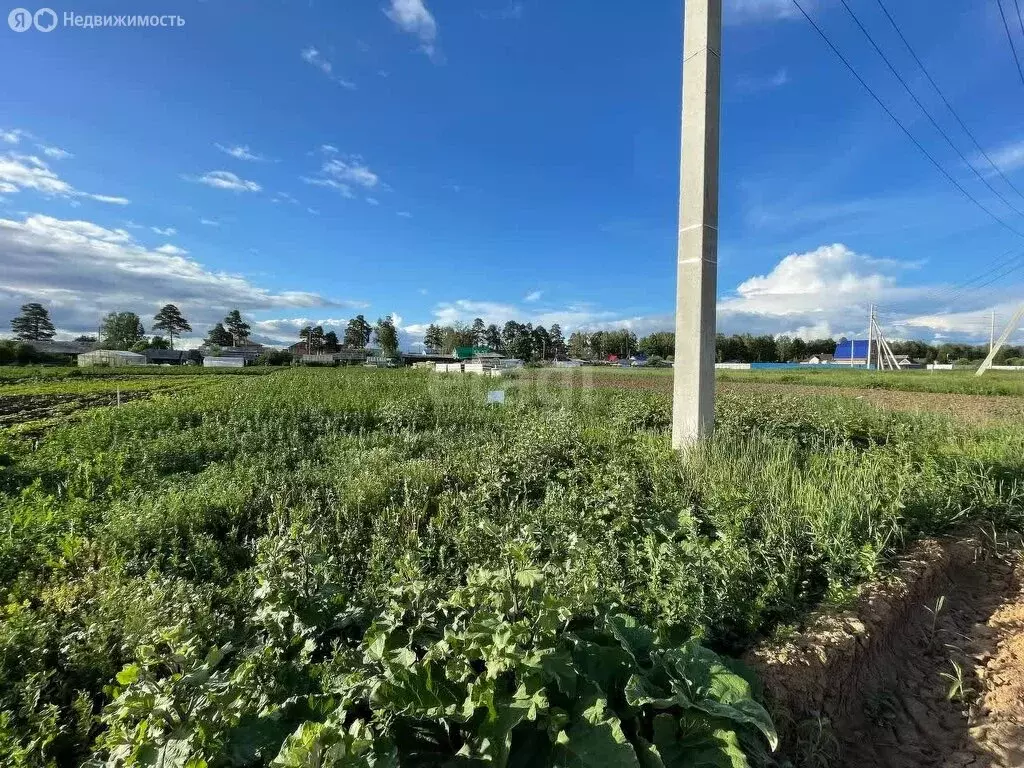 Участок в Тюменский район, деревня Ушакова, Советская улица (12.1 м) - Фото 1