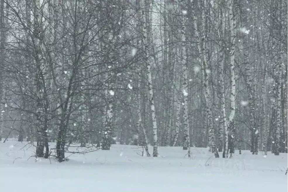 Участок в Московская область, Серпухов городской округ, д. Лисенки  ... - Фото 1