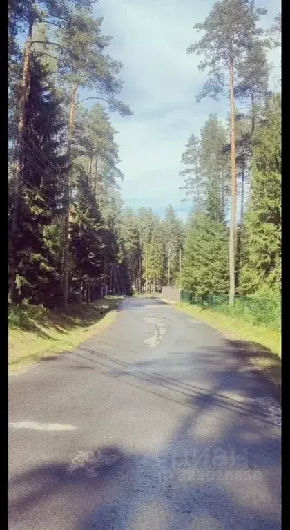 Участок, 56.4 сот., поселения (ижс) - Фото 1