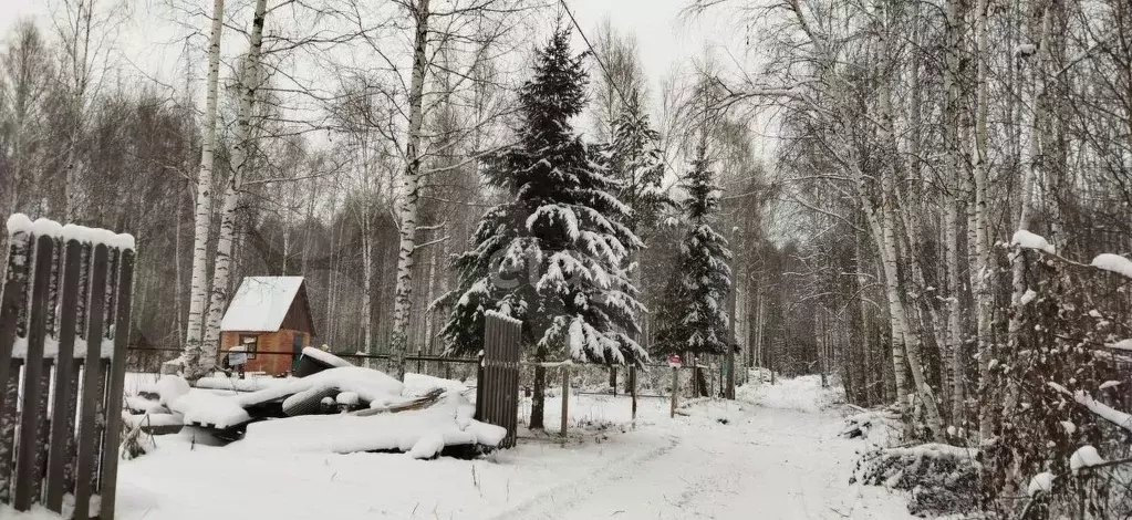 дача 15 м на участке 10 сот. - Фото 0