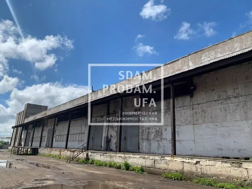 Склад в Башкортостан, Уфа городской округ, д. Мокроусово ул. ... - Фото 1