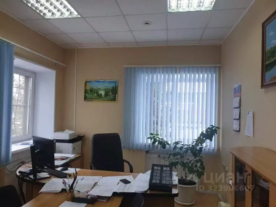 Офис в Челябинская область, с. Октябрьское ул. Советская, 100 (302 м) - Фото 2