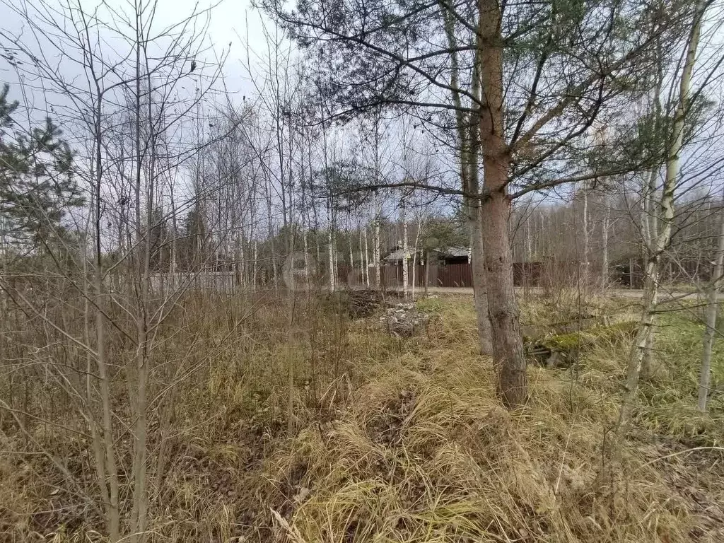 Участок в Ленинградская область, Кировское городское поселение, ... - Фото 1