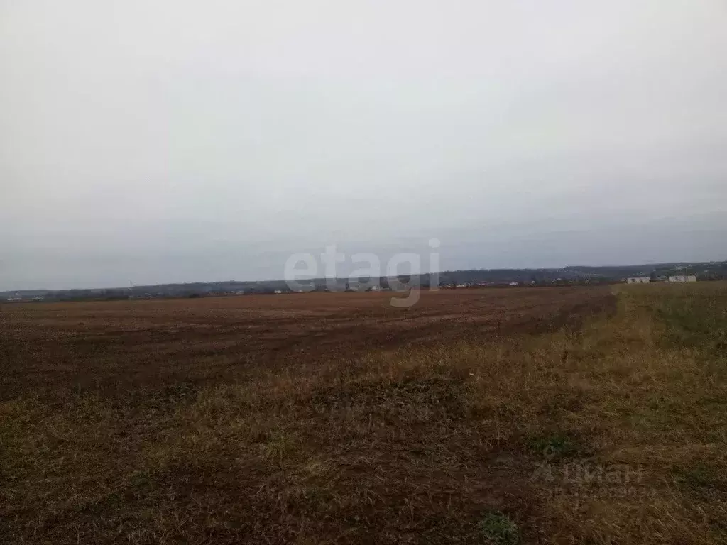 Участок в Курская область, Курский район, Полянский сельсовет, с. ... - Фото 0