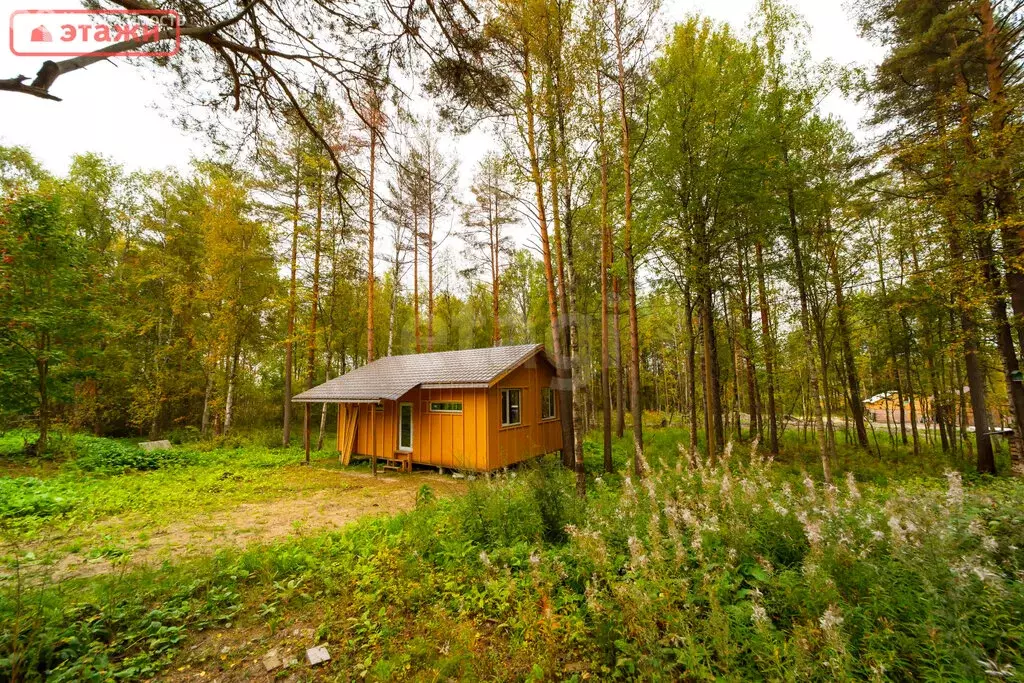 Дом в село Кончезеро, Солнечная улица (53.8 м) - Фото 1