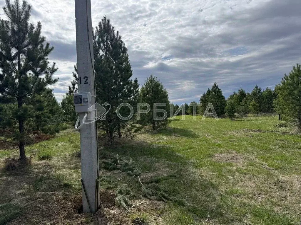 Участок в Свердловская область, Слободо-Туринский район, ... - Фото 1
